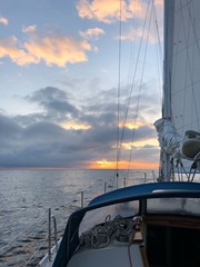 WhatsApp Image 2018-05-11 at 22.15.09