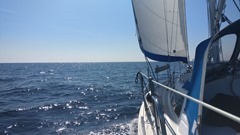 IMG_20180724_112511_thumb